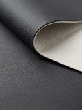 TP-0025 Black (C02) — swatch front & backing · texture visualization (DE-178)
