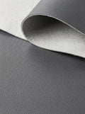 RS-0027 Silver (C08) — swatch front & backing · texture visualization (DE-178)