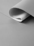 RS-0033 Silver (C08) — swatch front & backing · texture visualization (UM-T)