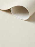 TP-0043 Ivory (C03) — swatch front & backing · texture visualization (DE-43M)